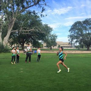 Meet your Posher, Natasha